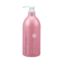 Dầu gội phục hồi và bảo vệ tóc Salonlink 1000ml